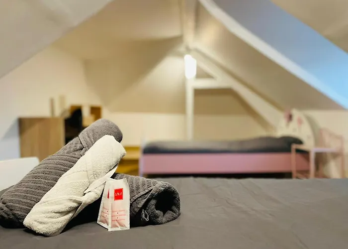 Havre De Paix à Rouen Duplex Lumineux Avec Vue - 415 Appartement *